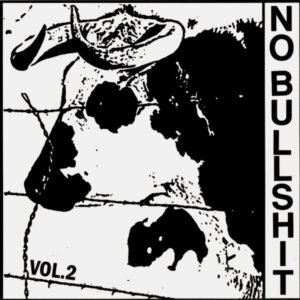 Various - No Bullshit Vol.2