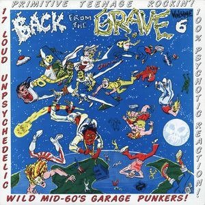 Various - Back From The Grave Volume 6